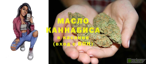гидра Богородицк