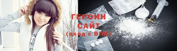 гидра Богородицк