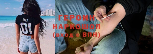 гидра Богородицк