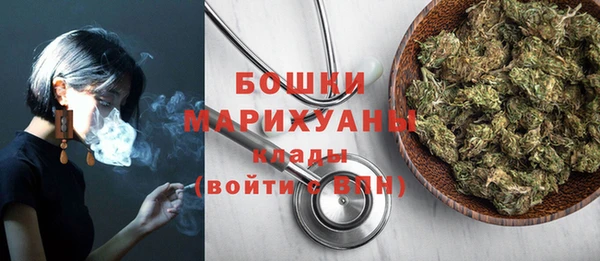гидра Богородицк