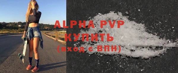 гидра Богородицк