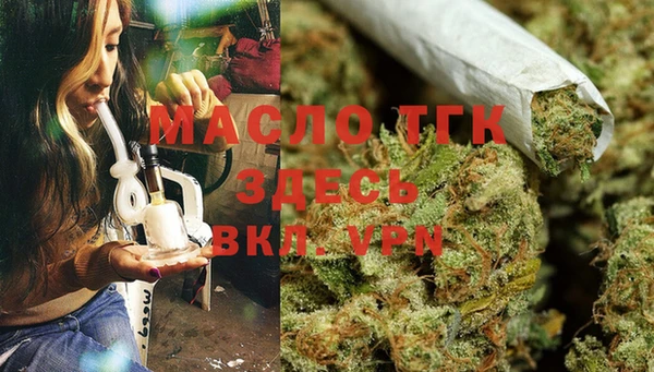 гидра Богородицк