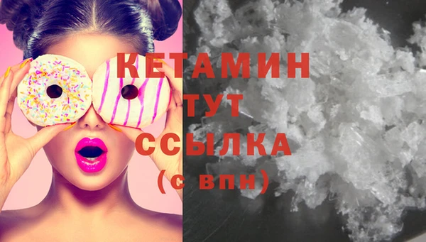гидра Богородицк