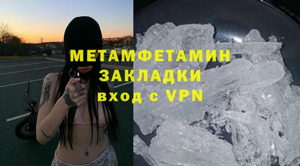 гидра Богородицк