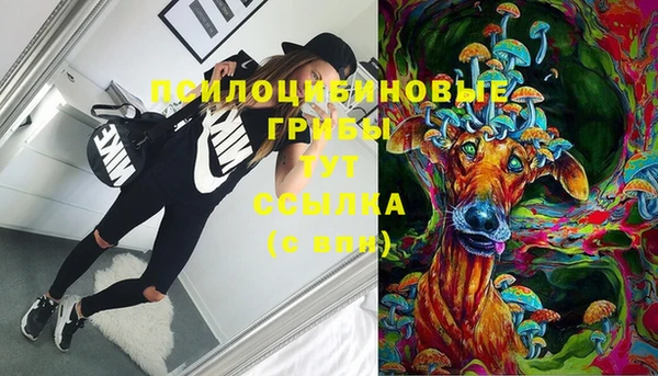 амфетамин Богородск