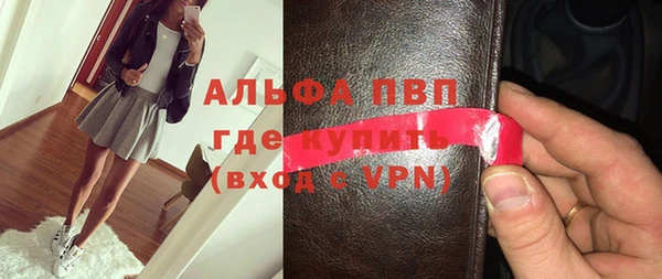 гидра Богородицк