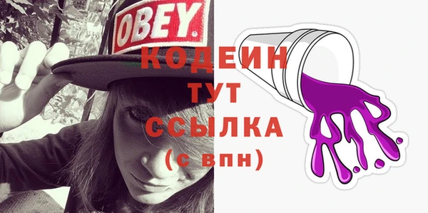 гидра Богородицк