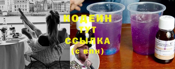 стаф Богданович