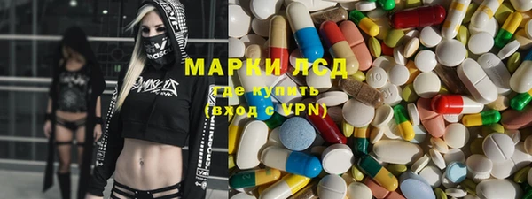 гидра Богородицк