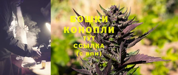 гидра Богородицк