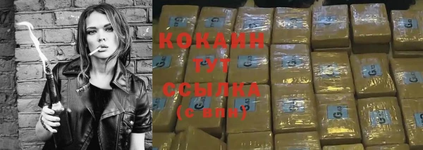 стаф Богданович