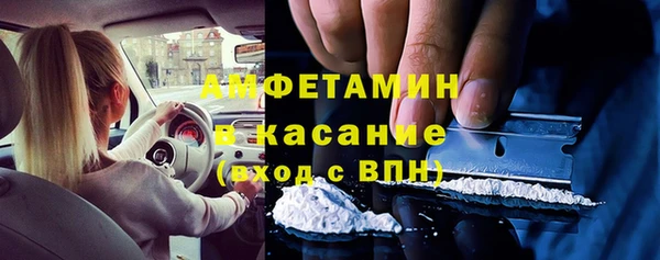 стаф Богданович