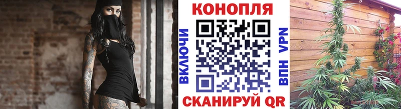 Конопля тримм  ссылка на мегу вход  Щигры 